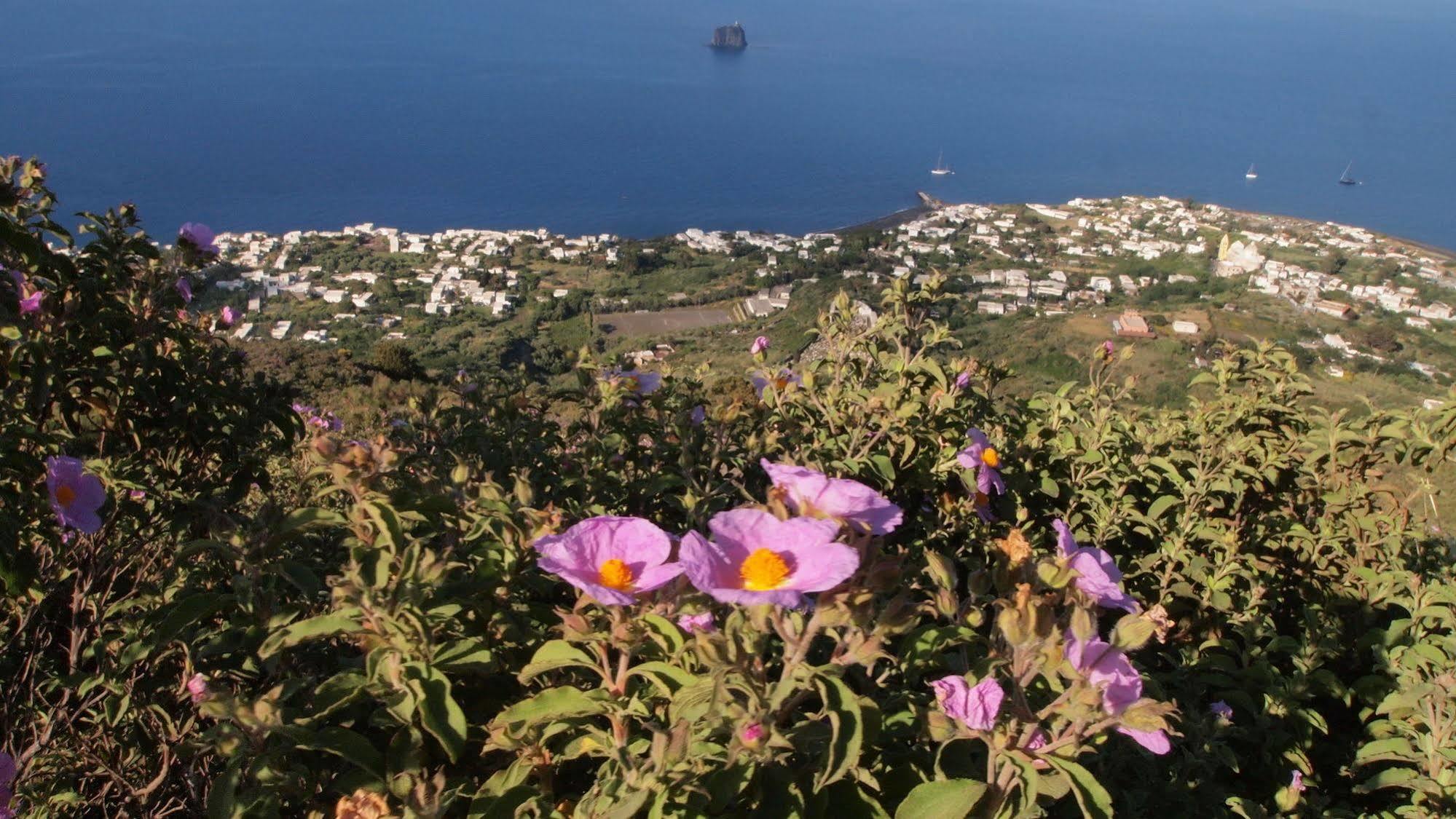 Il Vulcano A Piedi Stromboli Dış mekan fotoğraf